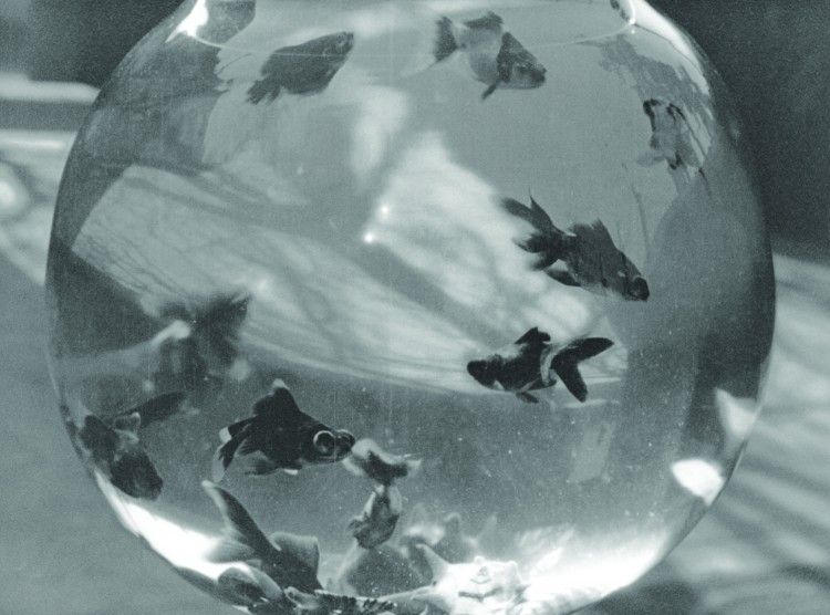 750x569 capture hd lumiere ok310 392 2