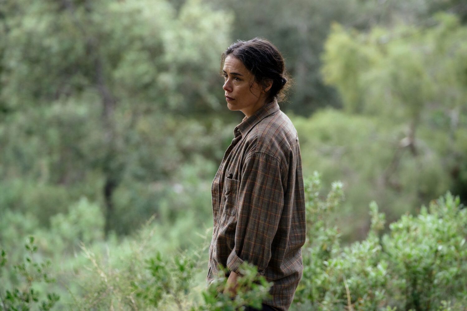 destellos laialluch dsc00040 1