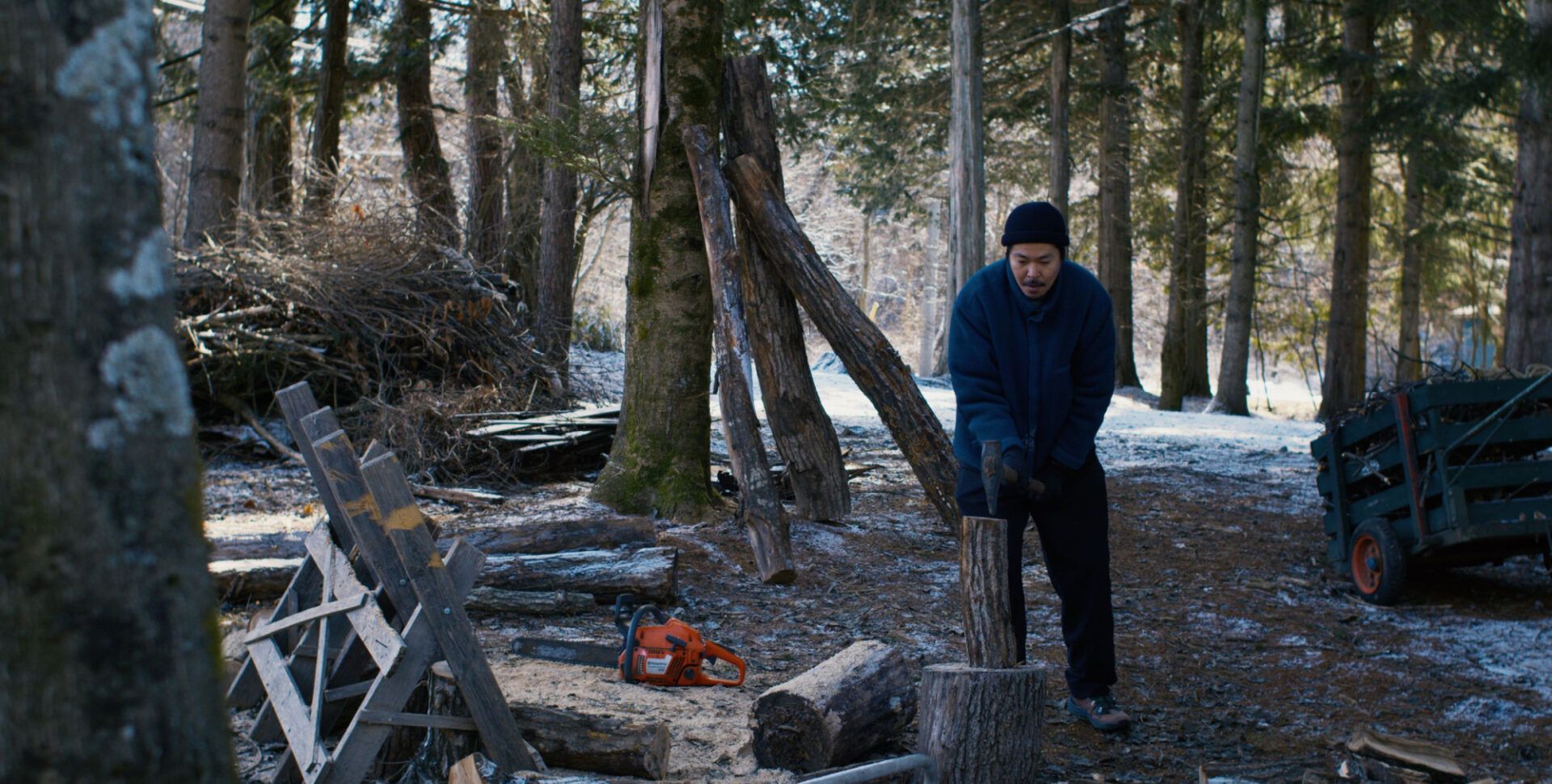 still 04 2000x1010 crop 50 50