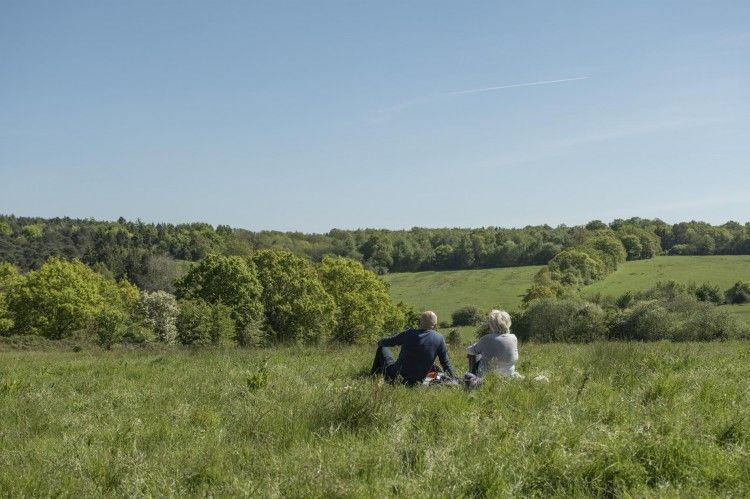 750x569 image 23 walks 8 8797 2