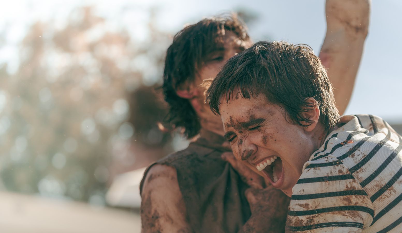 viva fondo catÁlogo nuevo