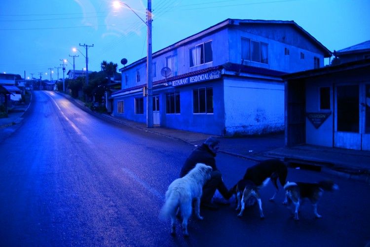 750x569 img 2374 9449 2