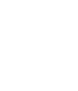 SSIFF Oficial - Fuera de Concurso