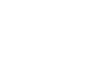 SSIFF - Puntuación